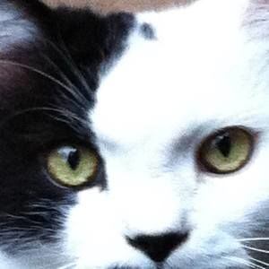 Meet your Posher, Janet